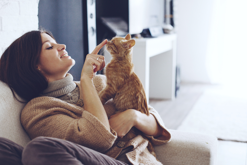 Keep Outdoor Cats Warm in Winter
