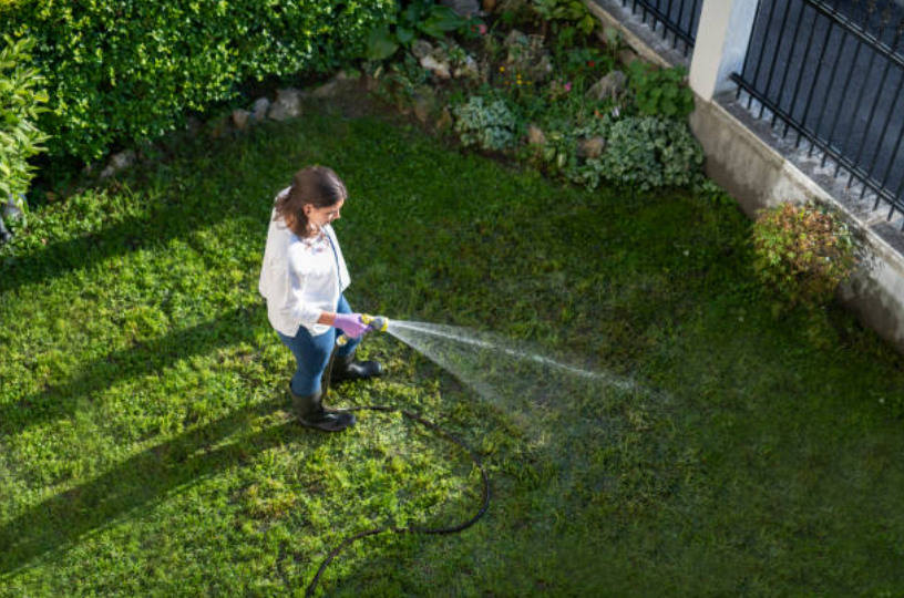 How long should you water your lawn