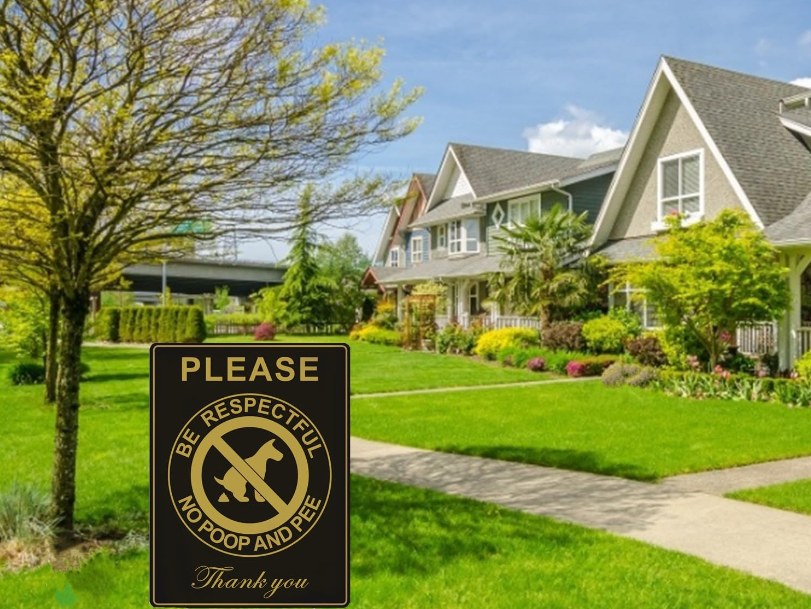 keep a dog from pooping in your yard