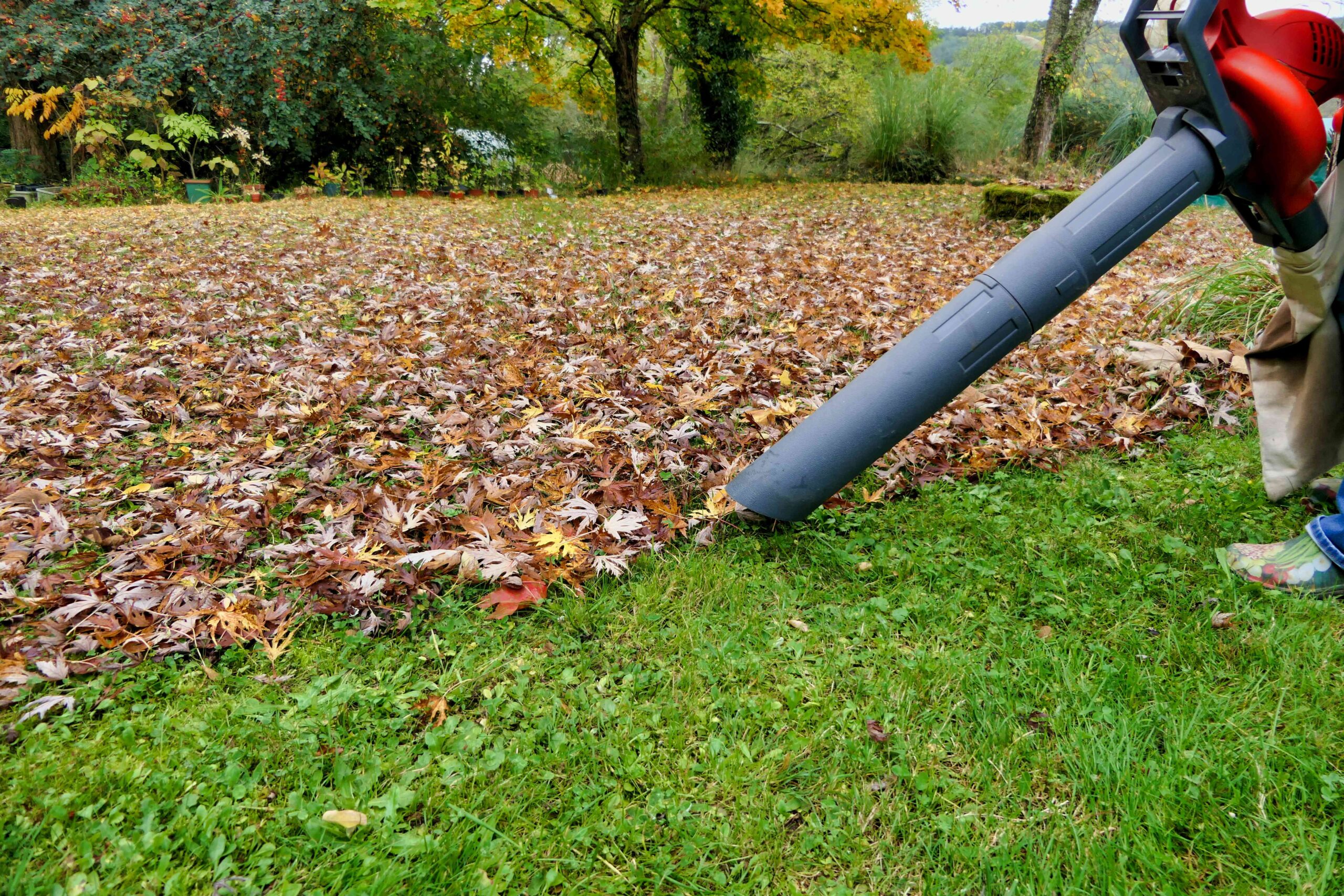 Prevent Leaves From Blowing Into Your Yard