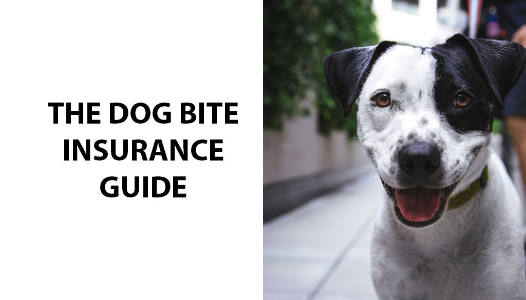 Does Homeowners Insurance Cover Dog Bites