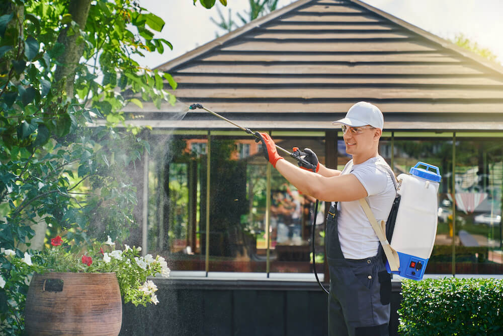 Pest Control Tips for New Homeowners