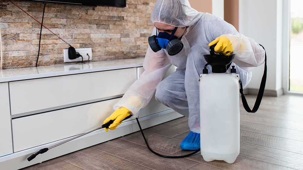https://drivebyeexterminators.com/7-pest-control-tips-new-homeowners/