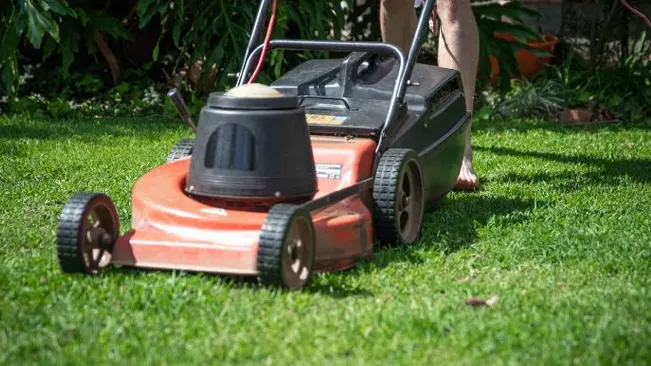 Clean a Carburetor on a Lawn Mower Without Removing It?