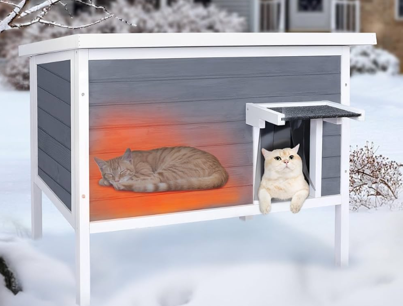 Keep Outdoor Cats Warm in Winter