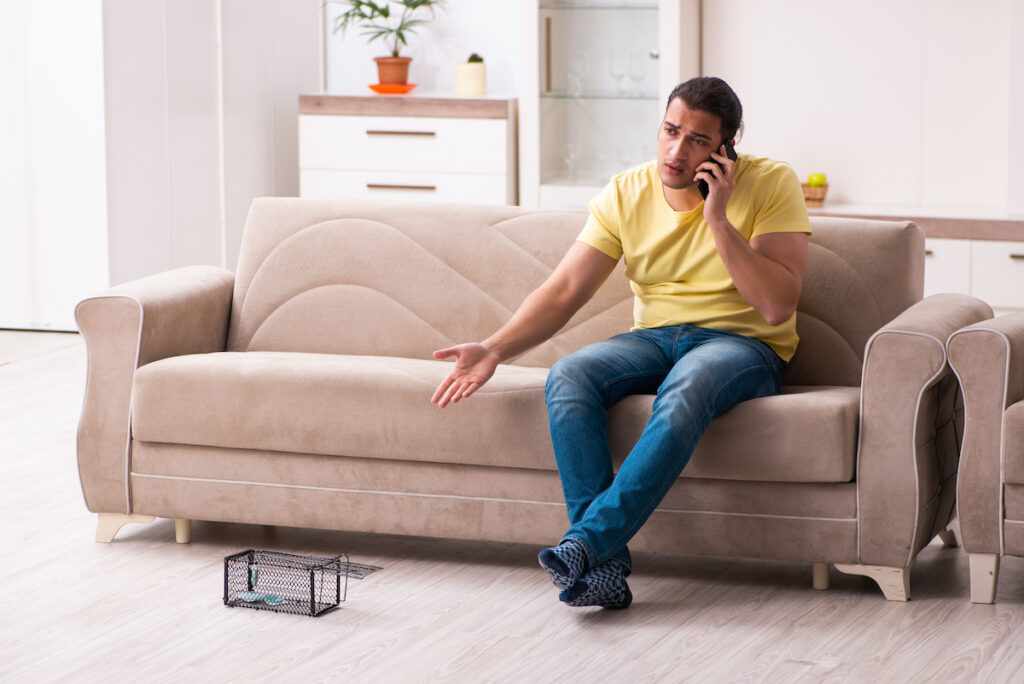 Pest Control Tips for New Homeowners
