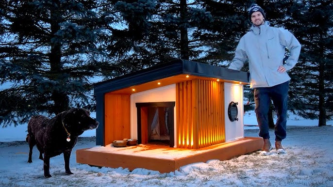 Build an Insulated or Heated Dog house