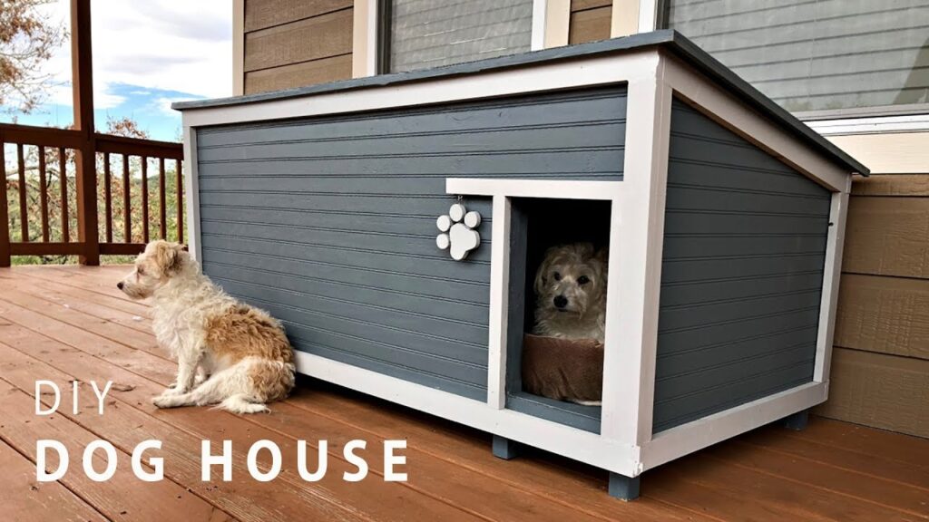 Build an Insulated or Heated Dog house