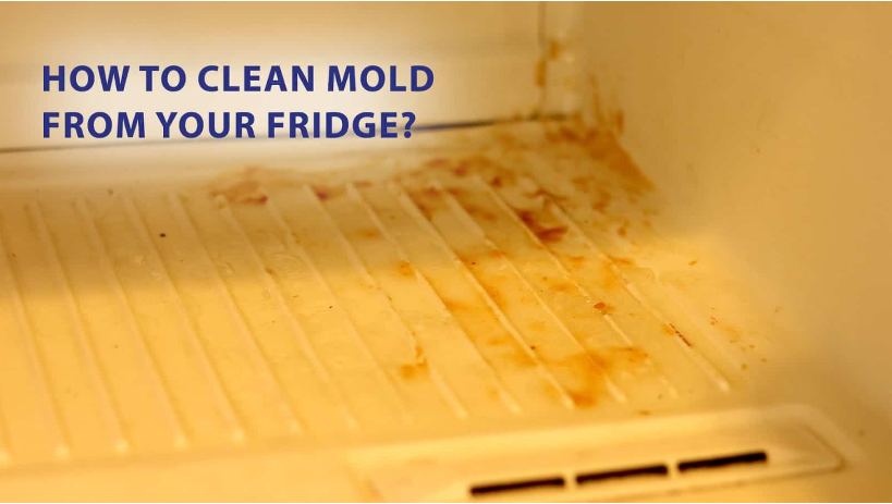 How to Clean Mold from Fridge: A Complete Guide for a Fresh and Healthy Refrigerator